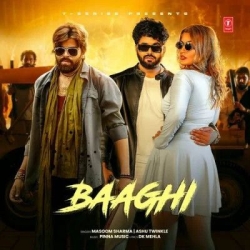 Baaghi Mp3 Song Download 